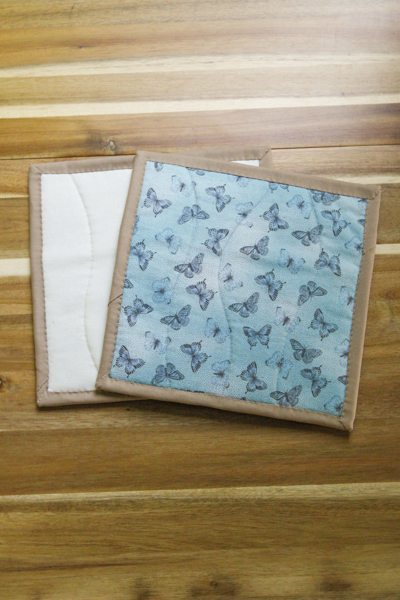 Blue Morpho Butterfly Hot Pads (Set of 2)